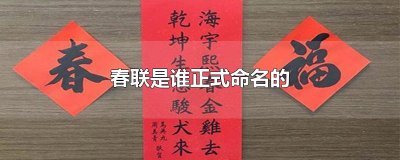 春联是谁正式命名的