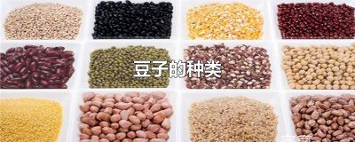 关于豆子的幼儿教案 认识各种豆子教案