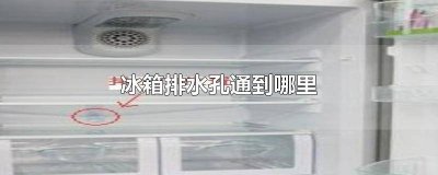 冰箱的排水孔通往哪里 冰箱的排水孔通哪里