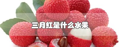 三月红是什么水果