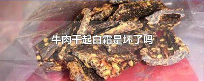 牛肉干起白霜是坏了吗