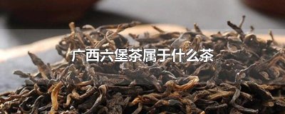 广西六堡茶属于什么茶