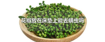 花椒放在床垫上能去螨虫吗
