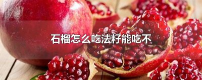 石榴怎么吃法籽能吃不