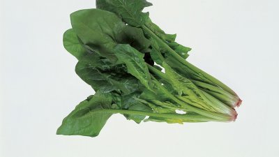 菠菜海带可以一起吃吗