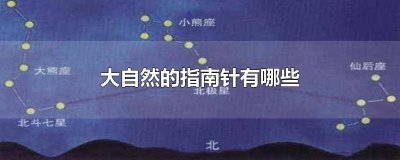 大自然的指南针有哪四种 大自然的指南针有哪些呢