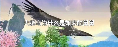 大鹏鸟为啥是如来的舅舅 大鹏鸟为什么是如来佛祖的舅舅
