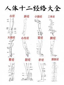 老中医总结《12经络顺口溜》,收藏了吧!