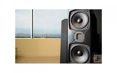 如果你越来越不合群,就会懂得“乌鸦定律”