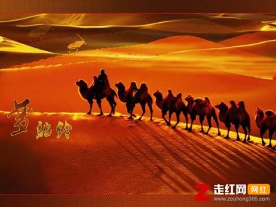 攀登高峰望故乡黄沙万里长什么歌,梦驼铃歌曲介绍