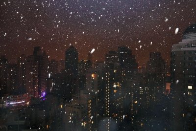 上海,下雪了!一大波美图收好!千万不要出去玩雪