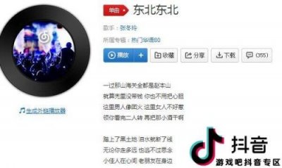 过了山海关有事找本山是什么梗和意思 出自歌曲东北东北