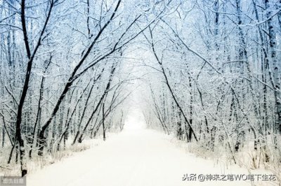 塞北的雪歌词(歌词·我爱你塞北的雪)