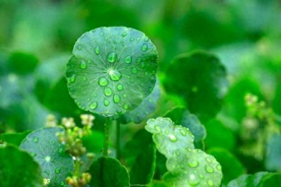 如何果断放弃一段感情!