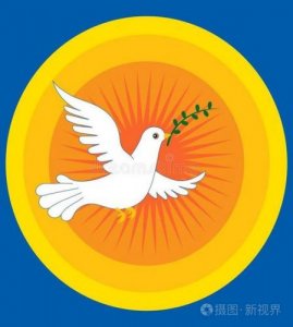 和平鸽作者是谁?永生的和平鸽作者