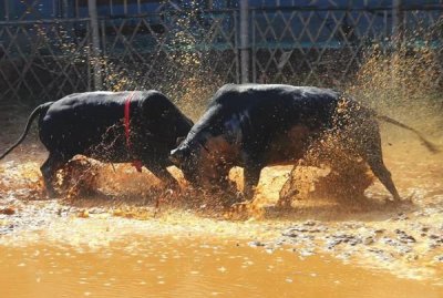 长沙最好玩的8大密室逃脱, 你玩过哪个?