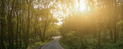 蟹爪兰的养殖方法和注意事项君子兰 蟹爪兰的养殖方法和注意事项 – 养殖日记