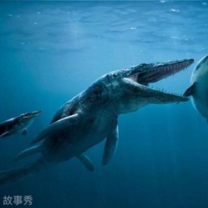已灭绝的十大鲨鱼排名-巨牙鲨上榜(史上最强掠食者之一)