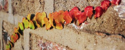 24节气秋分是什么意思