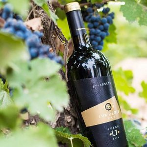 啤酒类杂志 啤酒行业研究