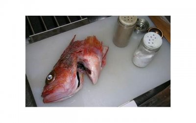 保持兴趣爱好的好处