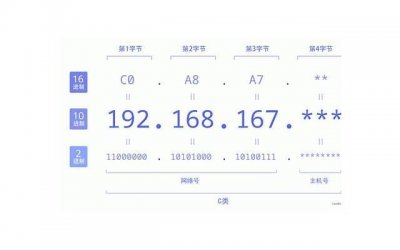 杨紫的身高,张天爱身高168与167的杨紫同框