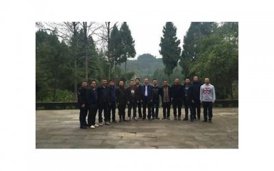 真的存在防辐射口罩吗 消除电脑辐射不如养绿植