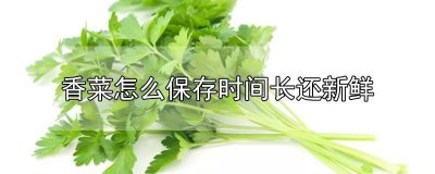 香菜如何保存时间长又新鲜 香菜怎么储存保鲜时间长一些