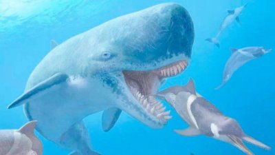 地球古生物——利维坦鲸