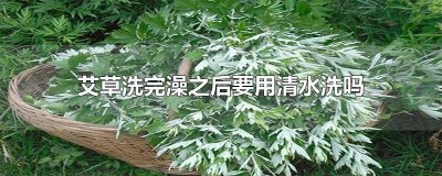 艾草泡澡后还需清水冲洗吗 艾草洗澡需要清水清洗吗