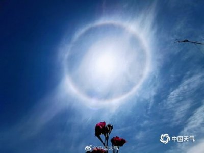 惊艳!南方多地出现日晕 一组图片尽览奇观
