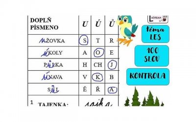 女生没有乳头怎么办 为什么有的女生没有乳头