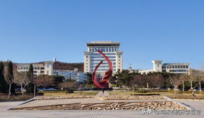 山东大学威海校区2024年录取分数