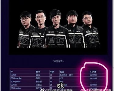 王者人物志:不适合当教练的冠军教练Gemini