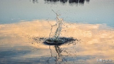 浑水摸鱼:乱中取胜,乘势而上