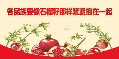 「发声亮剑」坚定立场 维护民族团结