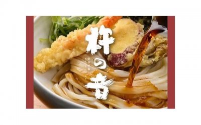 秦岚结婚了吗(41岁秦岚官宣恋情)