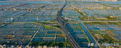 香海大桥虽改写了珠海市内半小时无法上高速的命运,却被不断吐槽